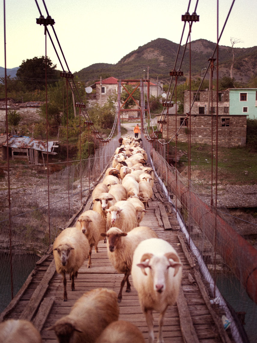 PETRAN14